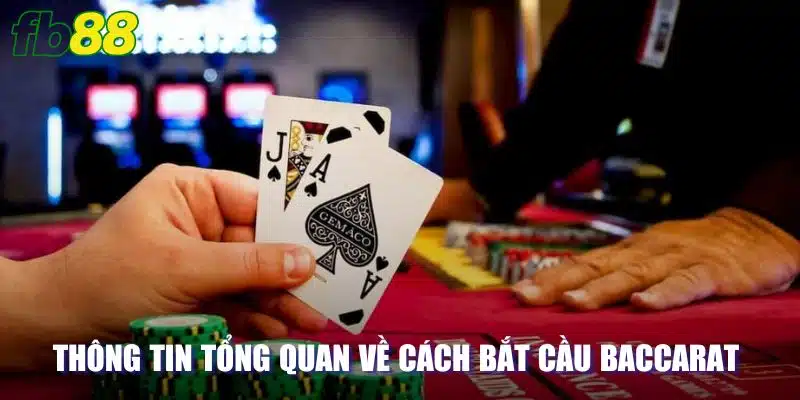 Thông tin tổng quan về cách bắt cầu baccarat cho cược thủ