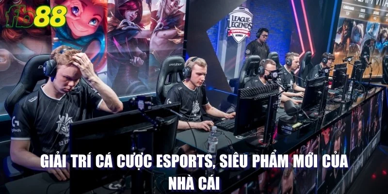 Giải trí cá cược Esports, siêu phẩm mới của nhà cái