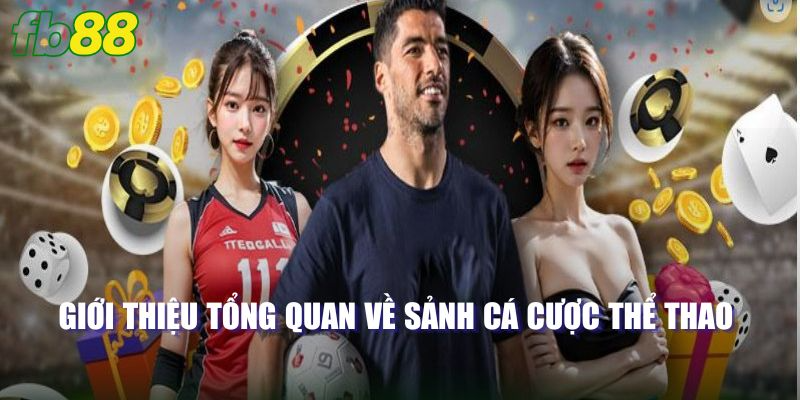 Giới thiệu tổng quan về sảnh cá cược thể thao cho newbie 