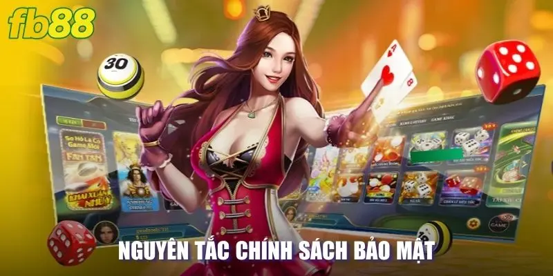 Nguyên tắc và cam kết về chính sách